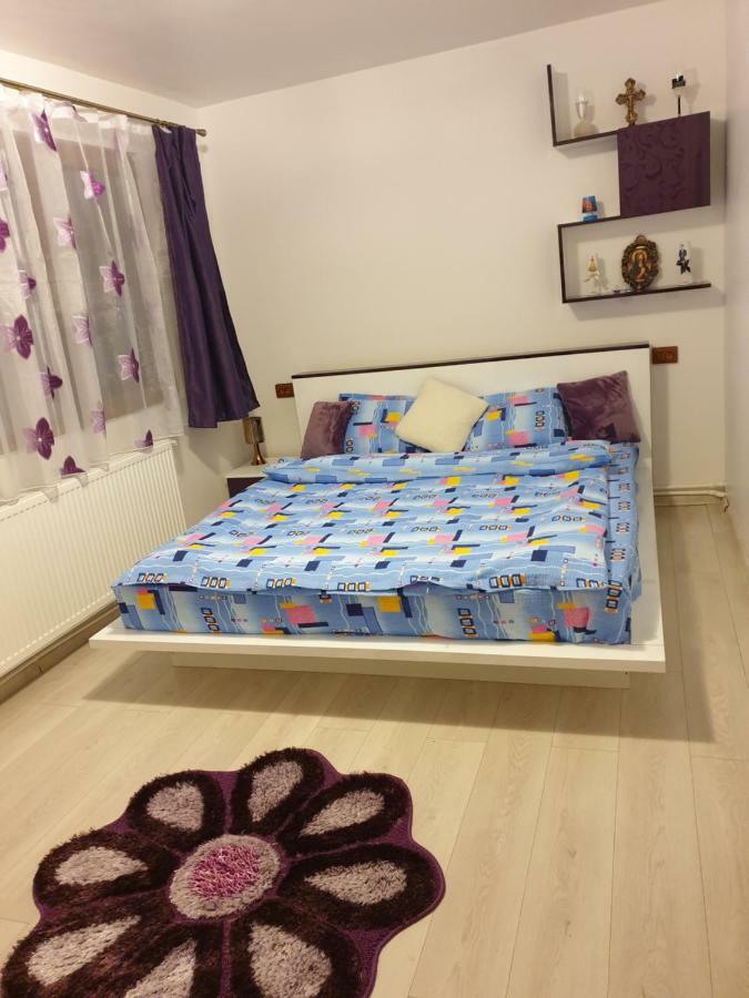 Apartament Oana'S Home Orşova Extérieur photo